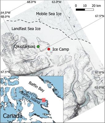 Spatial Heterogeneity as a Key Variable Influencing Spring-Summer Progression in UVR and PAR Transmission Through Arctic Sea Ice